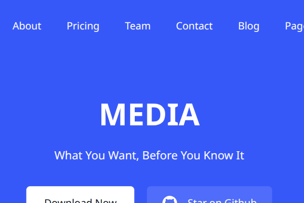 Media project
